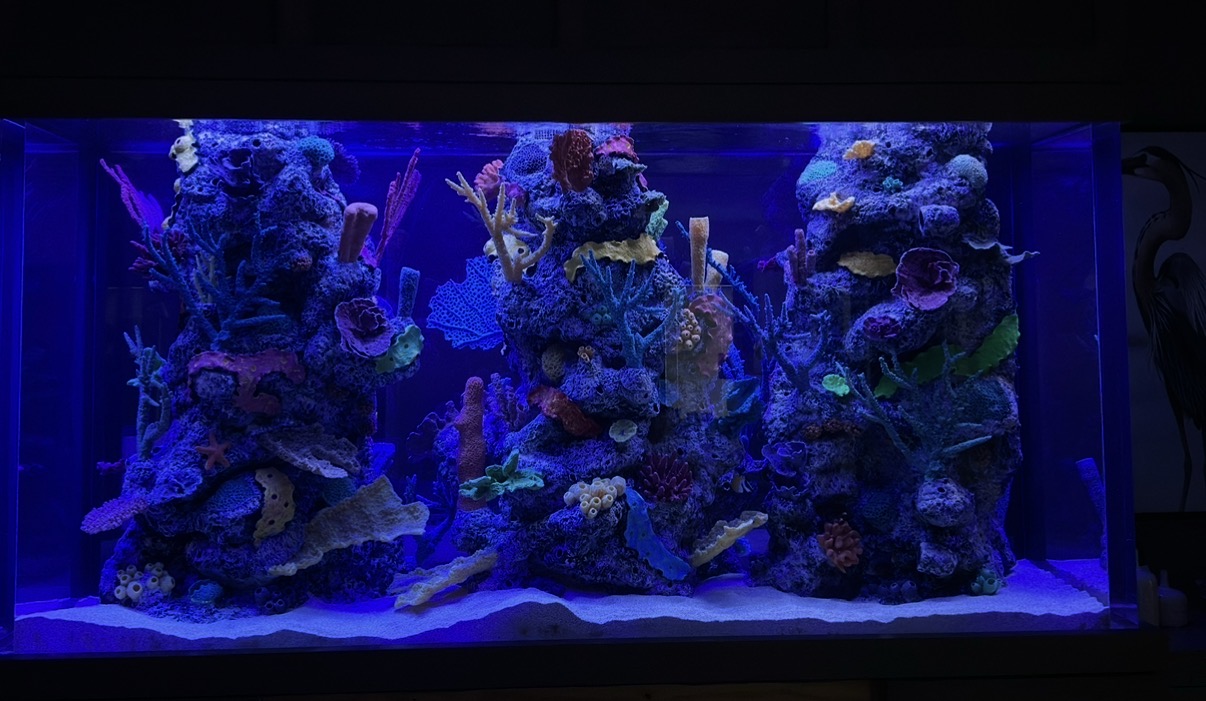 Custom Tank